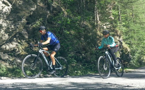 Neufahrzeug Yamaha Wabash RT - Bild 9