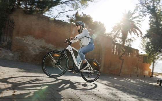 Neufahrzeug Yamaha CrossCore RC - Bild 4