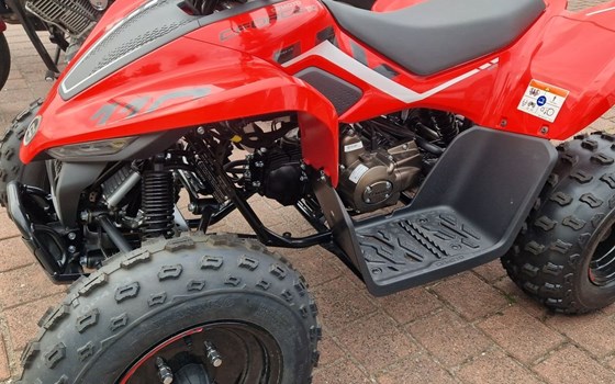 Neufahrzeug CFMOTO CForce 110 - Bild 2