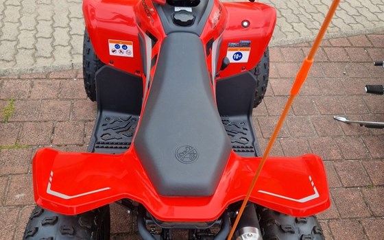 Neufahrzeug CFMOTO CForce 110 - Bild 4