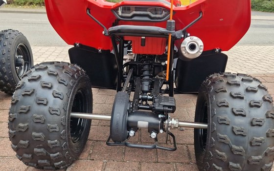 Neufahrzeug CFMOTO CForce 110 - Bild 5