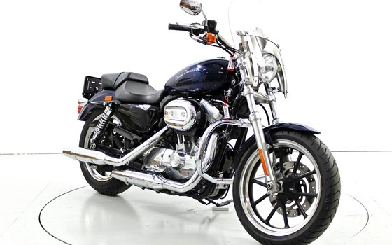 Motorrad Occasion Harley-Davidson Sportster XL 883 L SuperLow - Bild 2