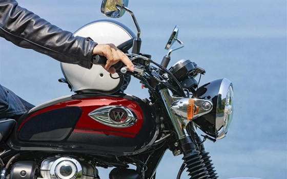 Neufahrzeug Kawasaki W800 - Bild 3