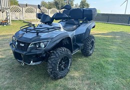 Gebrauchte TGB Blade 1000 EFi LT 4x4