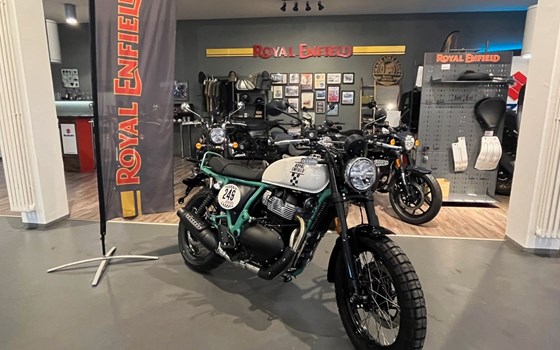 Neufahrzeug Royal Enfield Bear 650 - Bild 3