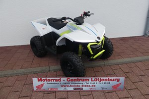 Angebot CFMOTO CFORCE EV110