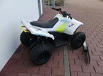 Angebot CFMOTO CFORCE EV110