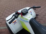 Angebot CFMOTO CFORCE EV110