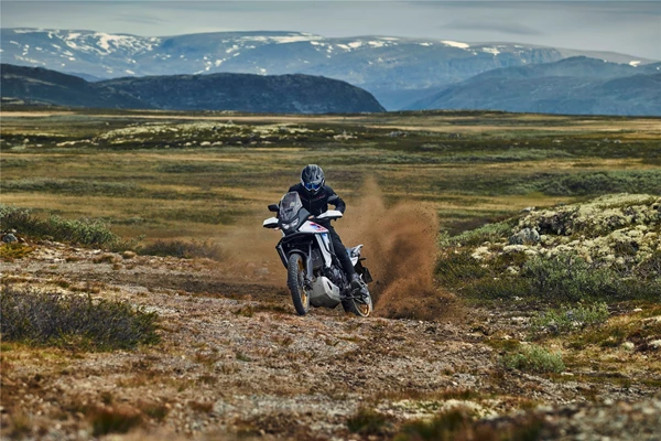 Honda XL750 Transalp (Ross White) - Bild 9