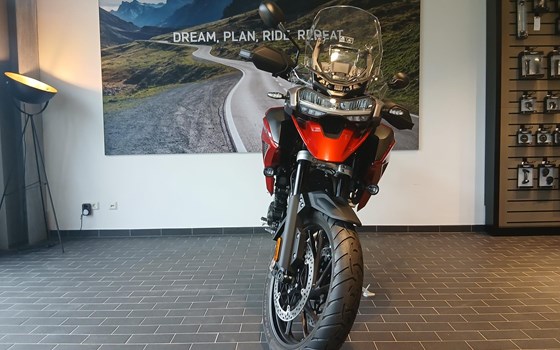 Neufahrzeug Triumph Tiger 1200 GT PRO - Bild 3