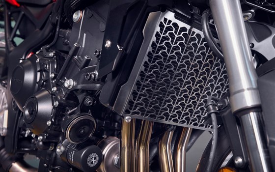 Neufahrzeug Honda CB1000 Hornet - Bild 11