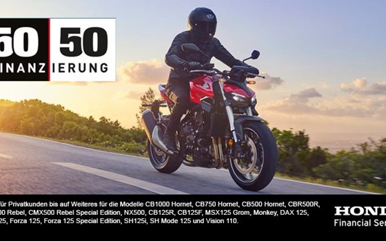 Neufahrzeug Honda CB1000 Hornet - Bild 2