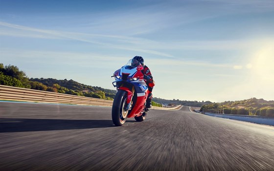 Neufahrzeug Honda CBR1000RR-R Fireblade SP - Bild 25