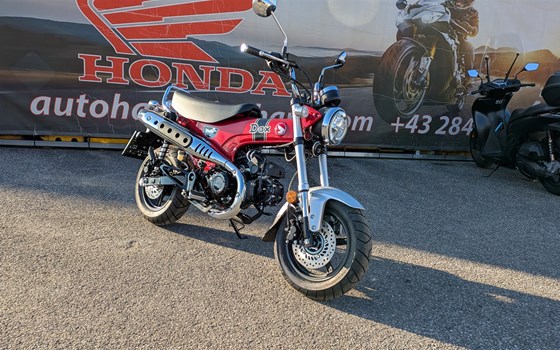 Neufahrzeug Honda Dax 125 - Bild 1 Neufahrzeug Honda Dax 125 - Bild 1