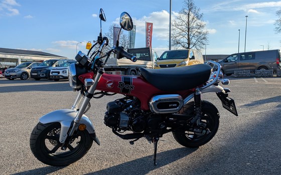 Neufahrzeug Honda Dax 125 - Bild 3 Neufahrzeug Honda Dax 125 - Bild 3