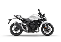 Neumotorrad Honda CB1000 Hornet