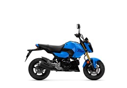 Neumotorrad Honda MSX125 Grom