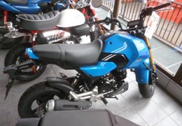 Neumotorrad Honda MSX125 Grom