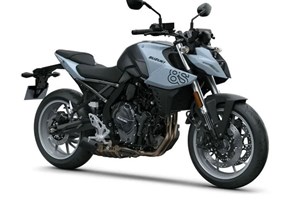 Angebot Suzuki GSX-8S