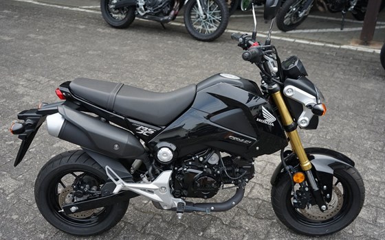 Gebrauchtmotorrad Honda MSX 125 - Bild 1