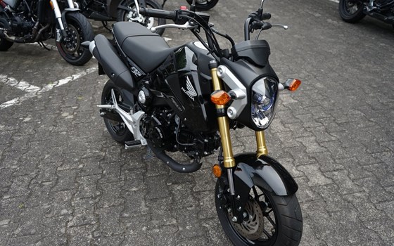 Gebrauchtmotorrad Honda MSX 125 - Bild 2