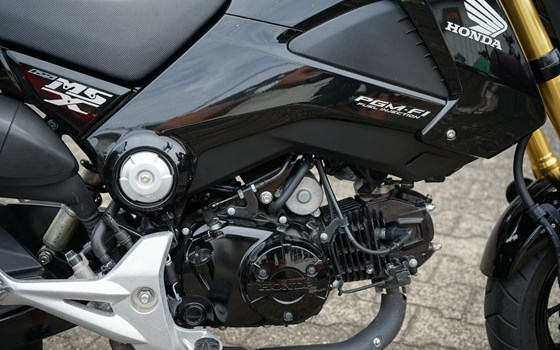 Gebrauchtmotorrad Honda MSX 125 - Bild 3