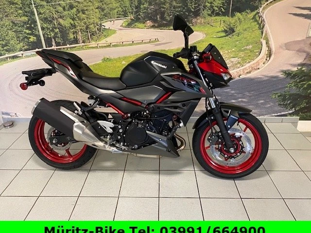 Neumotorrad Neumotorrad