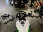 Angebot Kawasaki Vulcan S Cafe