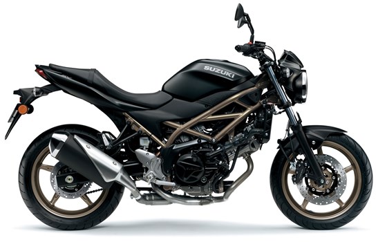 Neufahrzeug Suzuki SV650 - Bild 1