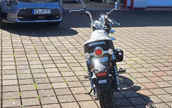 Neufahrzeug Honda Monkey - Bild 2