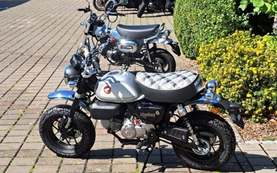 Neufahrzeug Honda Monkey - Bild 3