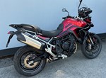Angebot Triumph Tiger 900 GT Pro