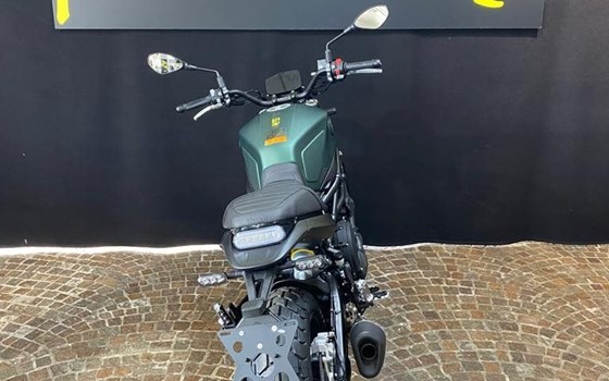Neufahrzeug Benelli Leoncino 800 - Bild 4