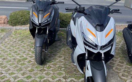 Neufahrzeug Zontes 368 D - Bild 1