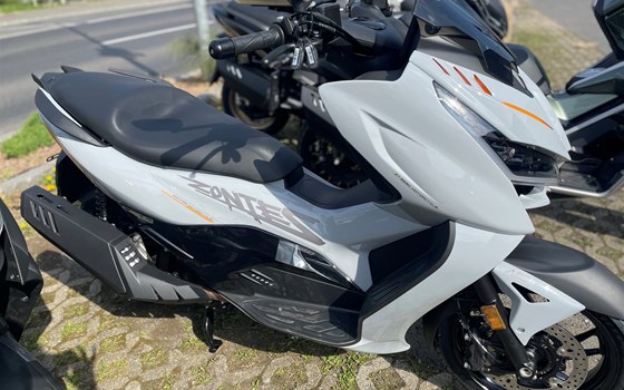 Neufahrzeug Zontes 368 D - Bild 3