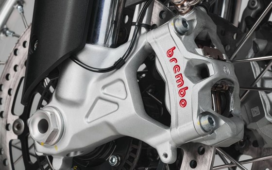 Neufahrzeug MV Agusta LXP Orioli - Bild 11