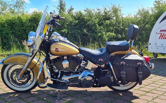 Gebrauchtmotorrad Harley-Davidson Softail Heritage Classic FLSTC - Bild 10