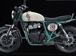 Angebot Royal Enfield Bear 650