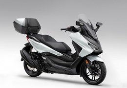 Neumotorrad Honda Forza 350