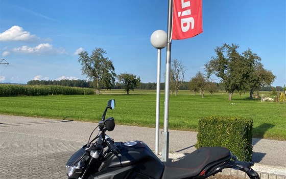 Gebrauchtmotorrad Motobi DL 125 Naked - Bild 7 Gebrauchtmotorrad Motobi DL 125 Naked - Bild 7