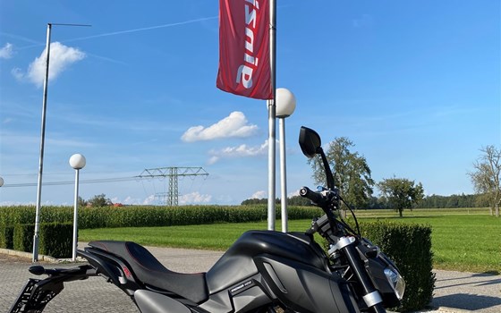 Gebrauchtmotorrad Motobi DL 125 Naked - Bild 8 Gebrauchtmotorrad Motobi DL 125 Naked - Bild 8