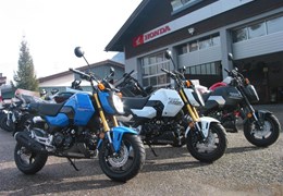 Neumotorrad Honda MSX125 Grom