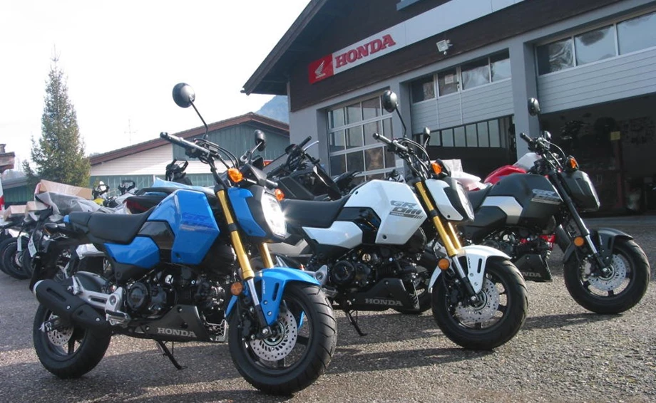 Offer Honda MSX125 Grom Bild 1: Offer Honda MSX125 Grom