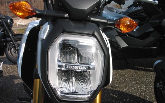 Neufahrzeug Honda MSX125 Grom - Bild 10