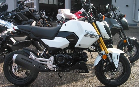 Neufahrzeug Honda MSX125 Grom - Bild 12
