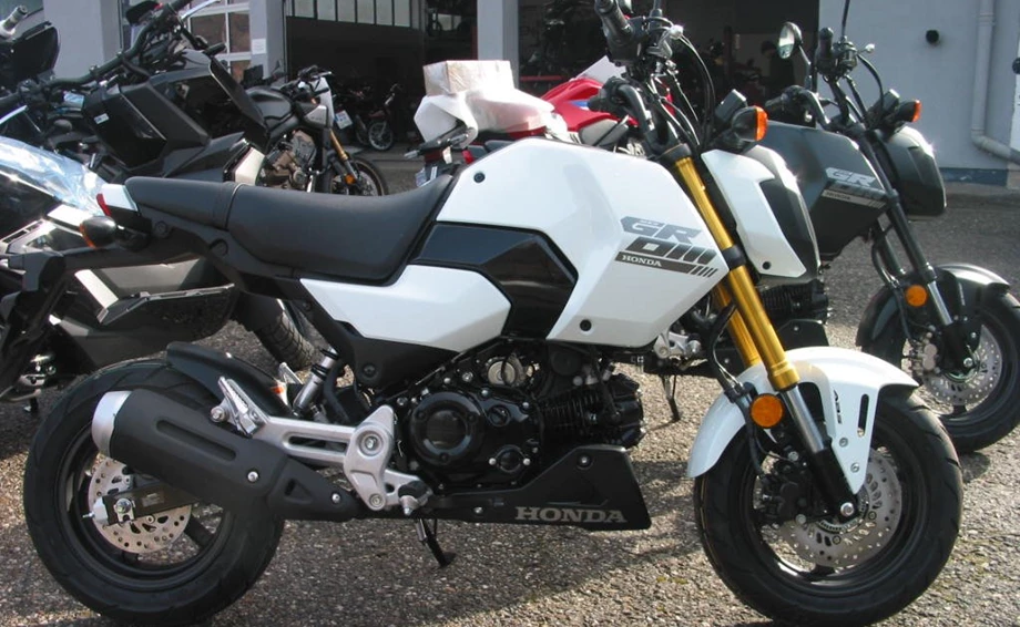 Offer Honda MSX125 Grom Bild 12: Offer Honda MSX125 Grom