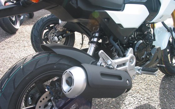 Neufahrzeug Honda MSX125 Grom - Bild 13