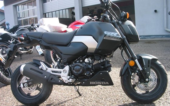 Neufahrzeug Honda MSX125 Grom - Bild 14