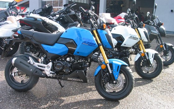 Neufahrzeug Honda MSX125 Grom - Bild 2
