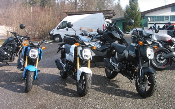 Neufahrzeug Honda MSX125 Grom - Bild 3